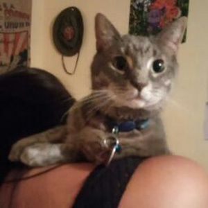 Meet your Posher, Carina